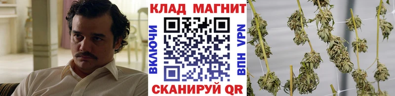 Купить наркоту Котлас Гашиш МАРИХУАНА Кокаин Мефедрон