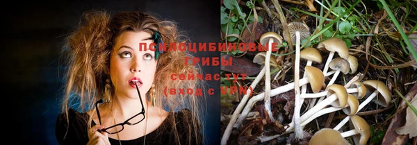 гашик Абдулино