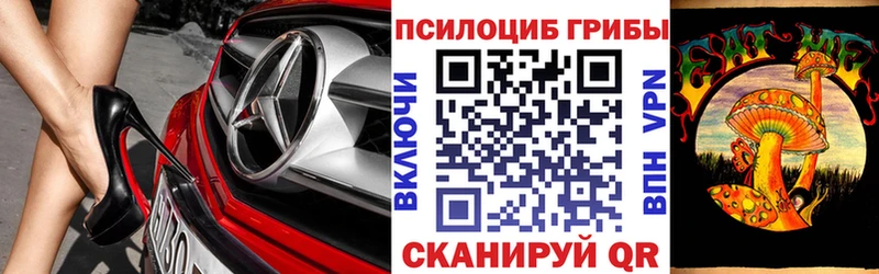 Галлюциногенные грибы Magic Shrooms  где найти наркотики  Котлас 