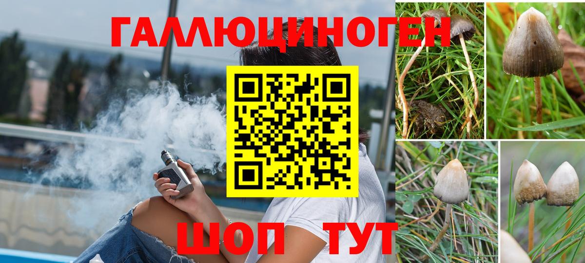 Псилоцибиновые грибы MAGIC MUSHROOMS  Вход с VPN  как найти закладки  Котлас 