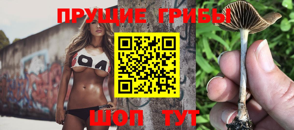Псилоцибиновые грибы MAGIC MUSHROOMS Котлас